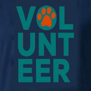 Navy volunteer t-shirt